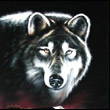 Hapkotuk